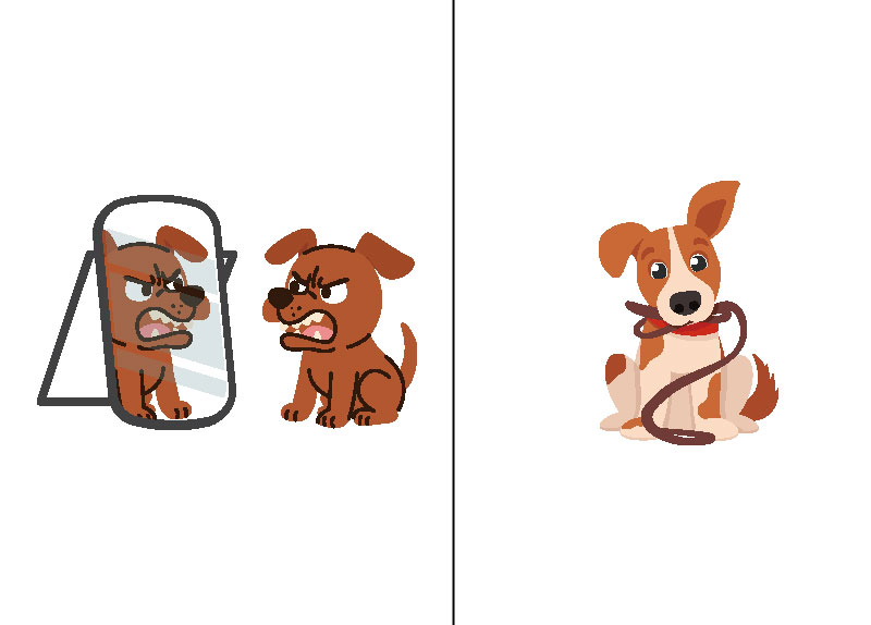 How Smart Are Dogs?0