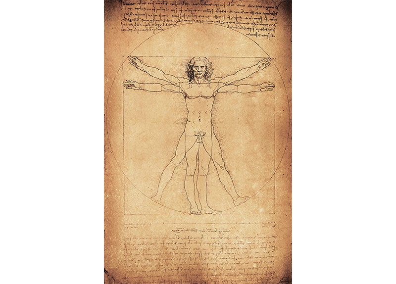 What Is the Vitruvian Man?0