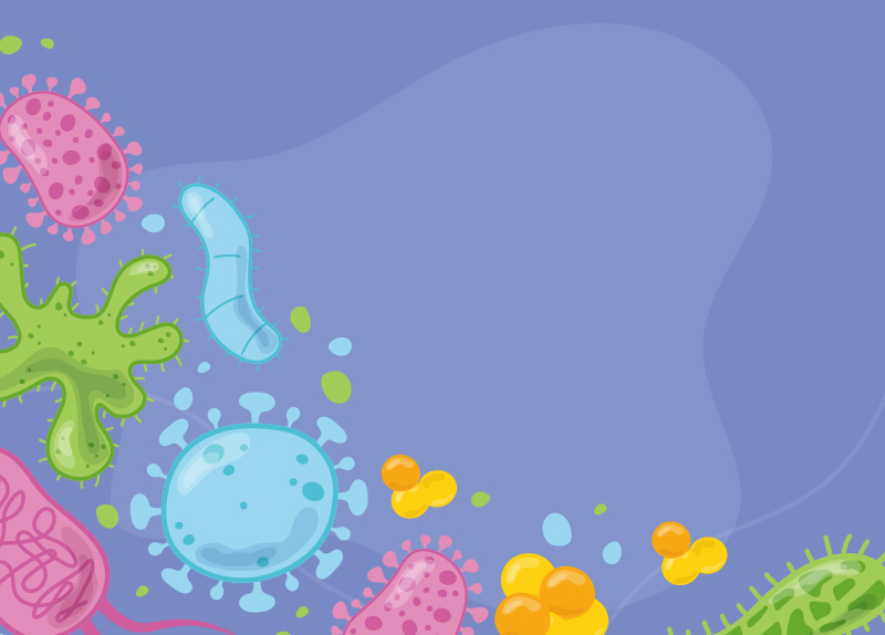 Microbes Can Affect Your Sleep!0