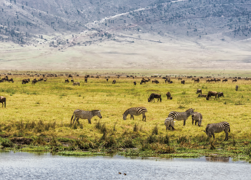 Ngorongoro Crater: A Safari Inside a Volcano0