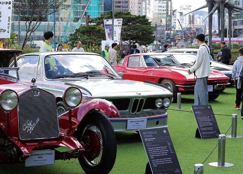 Pink Grass Paints the Fields / 2025 Seoul Classic Car Show3