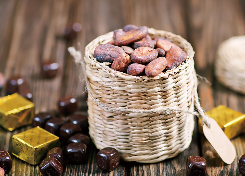 From Ancient Mesoamerica to Your Plate: The Amazing Journey of Chocolate0