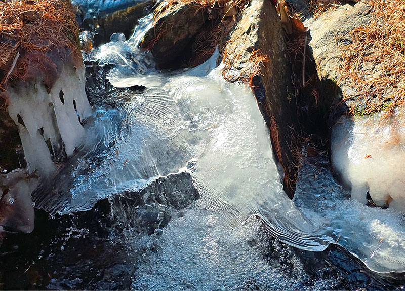Boxed Lunch in the Classroom / Ice Instead of Snow at Taebaeksan3