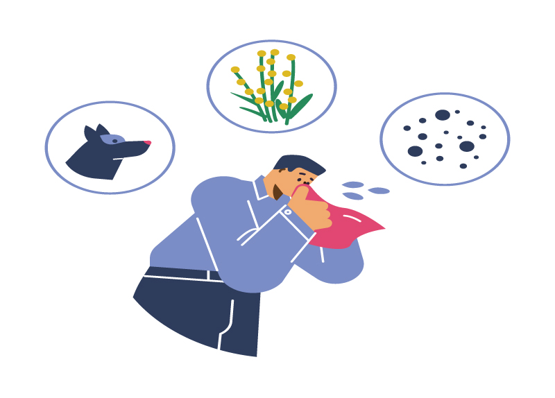 Why Do Allergies Happen?0