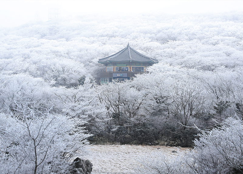 Milano Cortina 2026 Paralympics Opening Ceremony / Rare Rime Ice on Hallasan3