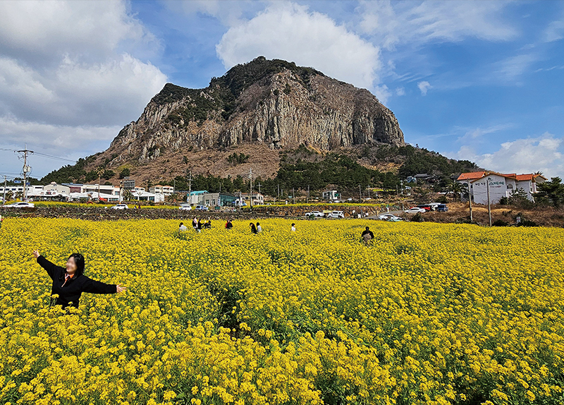 Spring at Sanbangsan Mountain in Jeju / A Day in the Life of Fishers0