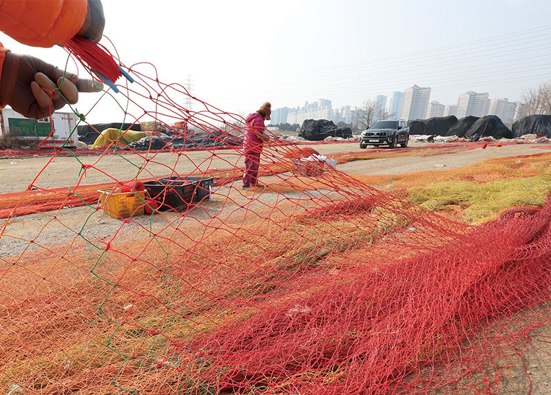 Spring at Sanbangsan Mountain in Jeju / A Day in the Life of Fishers1