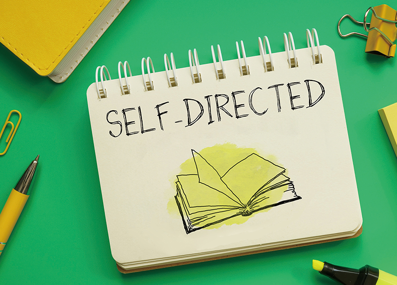 Self-Direction: Take Charge and Shine2