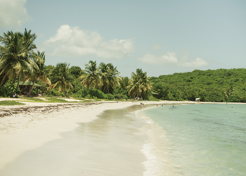 Vieques0
