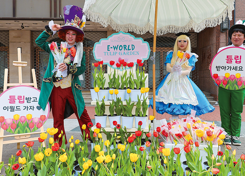 Eworld Celebrates Spring With Free Tulip Event / Spring Cleaning at Gwanghwamun Square0