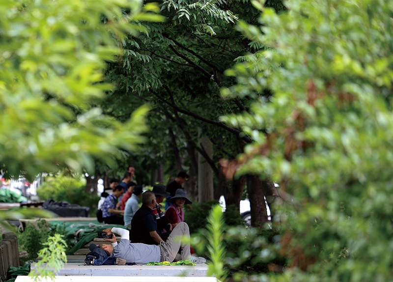 Finding Shade on a Hot Day / Deep in Reading0