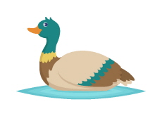Duck Caught Flying 52 kph in Switzerland - Wonderful Animals