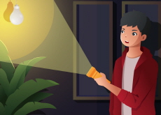 What Makes a Shadow - Nature & Science