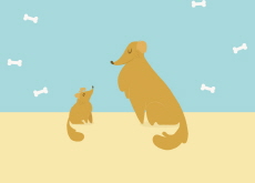 What Are Baby Animals Called? - Nature & Science