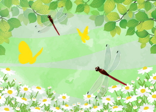 A Bug’s Life in My Backyard