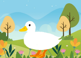 The Call Duck: A Cute Pet