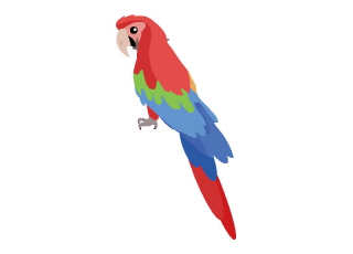 Birds That Live a Very Long Time