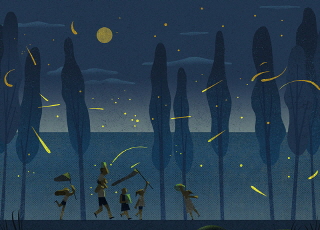 Fireflies and Their Glowing Lights