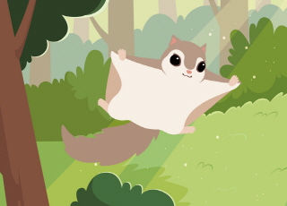 Flying Squirrel