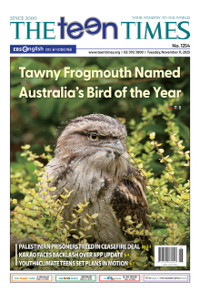 틴타임즈 1254호