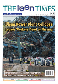 틴타임즈 1257호