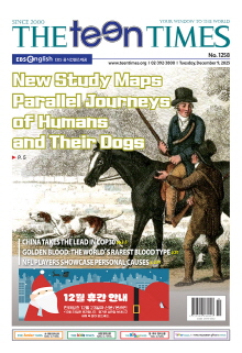 틴타임즈 1258호