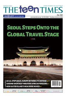 틴타임즈 1261호