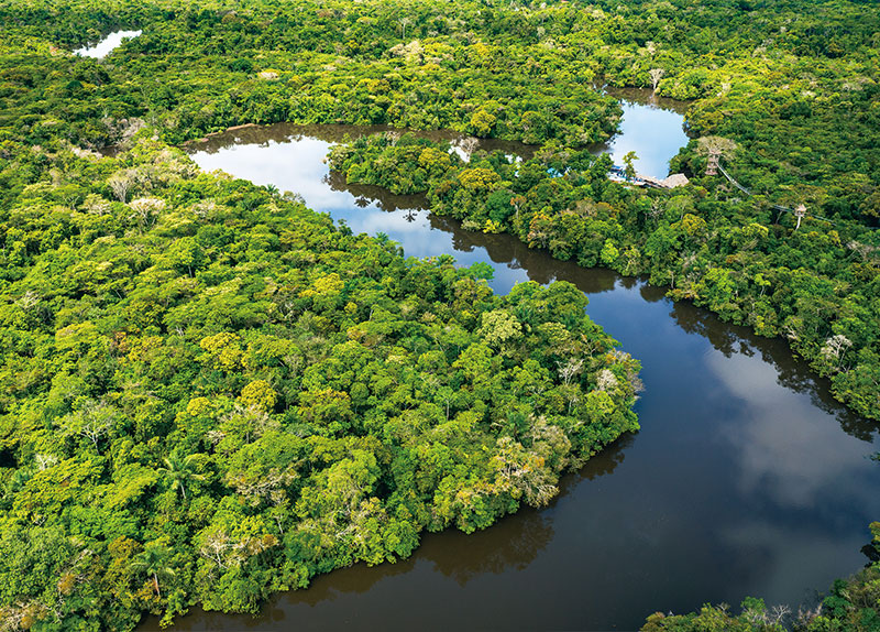 Archaeologists Uncover 2,000-Year-Old Lost Cities in Amazon Forest0