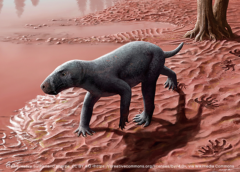 Ancient Saber-Toothed Predator Discovered in Spain Rewrites History0