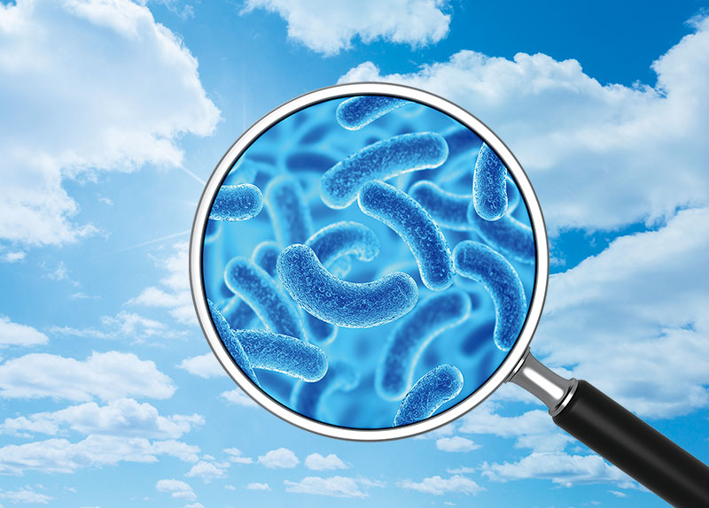 Tiny Travelers: The Secret Life of Cloud Microbes6