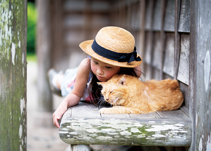 Japan Now Has More Pets Than Children0