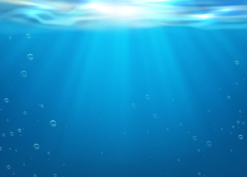 Exploring the Depths: Inside the World of Underwater Museums4
