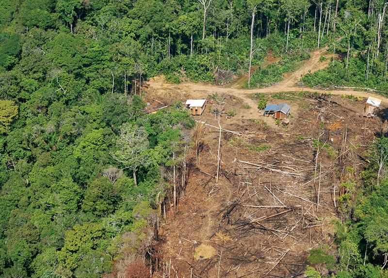 Amazons Dry Season Gets Less Rainfall Due to Deforestation0