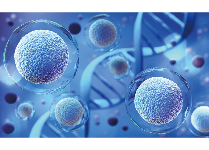 Spaceflight May Accelerate Stem Cell Aging Tenfold0