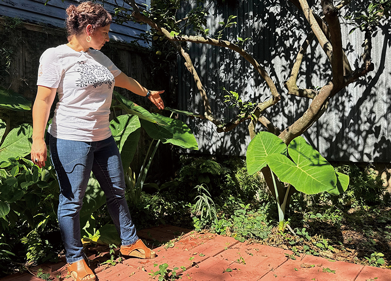 When Your Backyard Hides a Piece of Rome0