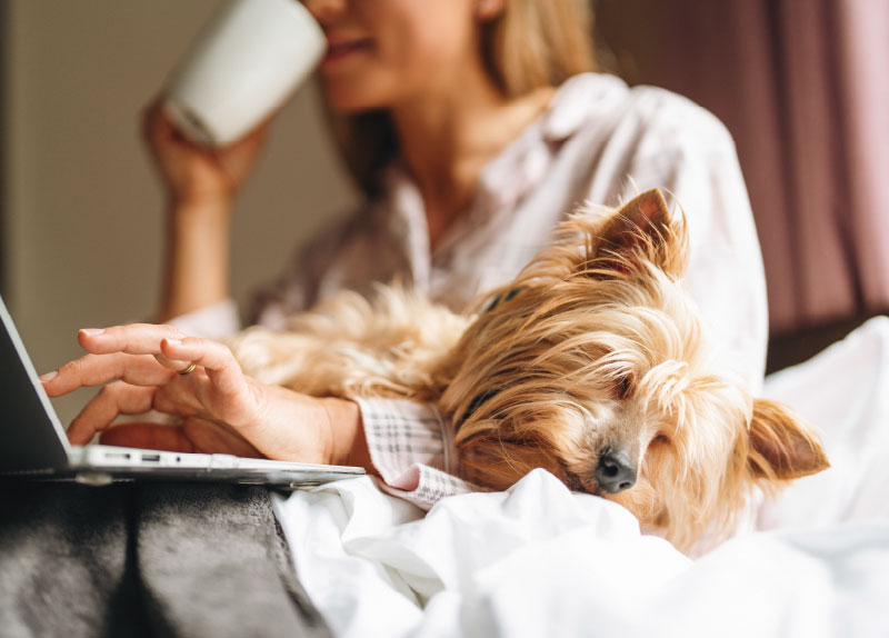 What Matters More in Life: Stability or Adventure?0