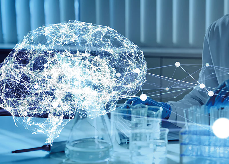 How Mini-Brains Are Helping Scientists Study Human Development0