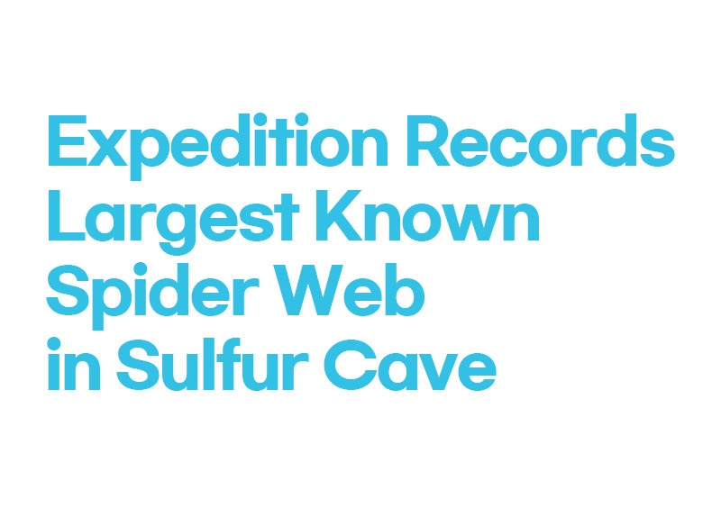Expedition Records Largest Known Spider Web in Sulfur Cave4