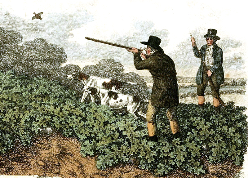 New Study Maps Parallel Journeys of Humans and Their Dogs0