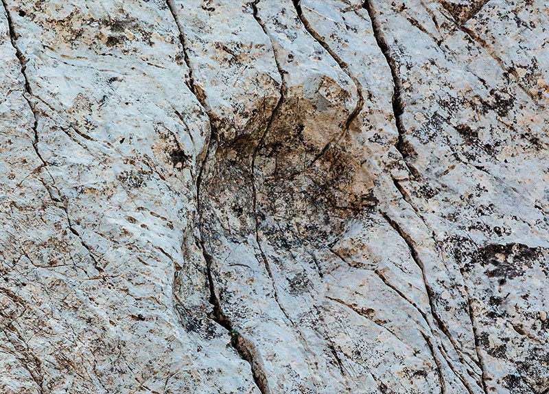 Ancient Dinosaur Footprints Discovered High in the Italian Alps0