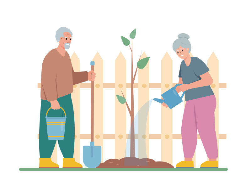 How Gardening Is Transforming Dementia Care8