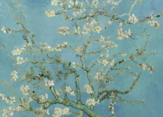 Almond Blossom - Arts