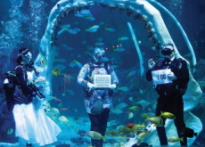 The Underwater Wedding - Photo News