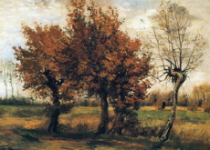 Autumn Landscape With Four Trees - Arts