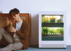 The LG Tiiun Helps People Raise Plants Indoors Easily - National News I