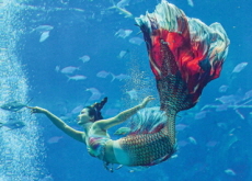 China’s First Mermaid Performance Contest - Photo News