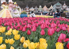 Everland’s Marks 30th Anniversary of Its Tulip Festival - Photo News