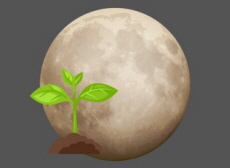 Scientists Grow Plants in ‘Moon Dirt’ - Science