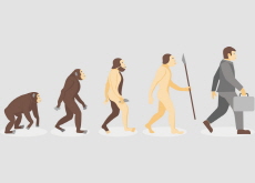 Can Evolution Move Backwards? - Science