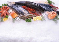 Sales of Seafood Unaffected by Fukushima Water Release - National News I